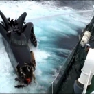 thumbs ady gil 007 LAdy Gil percuté par un baleinier japonais (15 photos + 1 Vidéo)