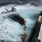 thumbs ady gil 008 LAdy Gil percuté par un baleinier japonais (15 photos + 1 Vidéo)
