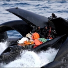 thumbs ady gil 011 LAdy Gil percuté par un baleinier japonais (15 photos + 1 Vidéo)