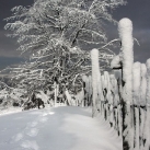 thumbs hiver 038 La beauté de l’hiver (51 photos)