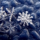 thumbs la beaute des flocons de neige 005 La beauté des flocons de neige (49 photos)