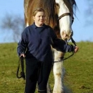 thumbs le plus grand cheval 006 Le plus grand Cheval ! (8 photos)