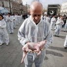 thumbs manifestation pour les droits des animaux 009 manifestation des défenseurs des droits des animaux à Madrid (10 photos)